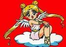 Sailor_Moon_1254788817_3_1995