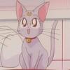 Sailor_Moon_1254789018_1_1995