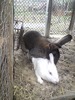 DSC00199