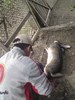 DSC00206