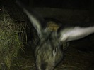 DSC00231