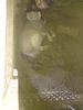 DSC00248
