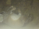 DSC00249