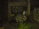 DSC00296