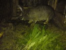 DSC00299