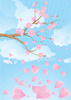 ist2_5456237-sakura-blossom