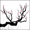 ist2_6409630-cherry-blossom