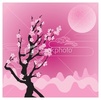 ist2_7218482-sakura-cherry-blossom