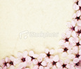 ist2_12496768-sakura-blossom-corner