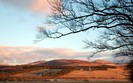 Planet Scenes 047