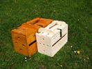 cutie pentru transport iepuri