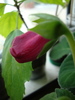 DSC00623