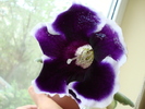 DSC00582