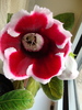 DSC00600