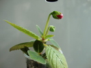 DSC00601