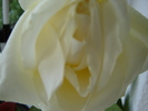 DSC02923