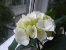 DSC02925