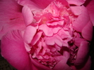 DSC02944