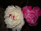 DSC02945