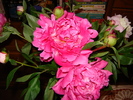 DSC02962