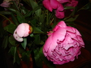 DSC02963
