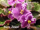 Rare Jewel