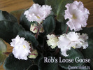 Rob's Loose Goose