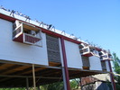 DSCF6613
