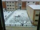 Picture 017