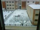 Picture 019