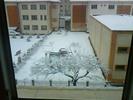 Picture 020