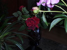 P3150125
