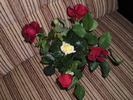 P3150127