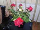P3150130