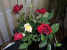 P3150131