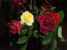 P3150144
