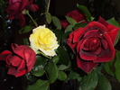 P3150145