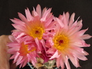 DSC08276