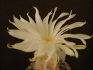DSC08690