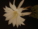 DSC08694