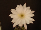 DSC08697