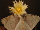 DSC08700