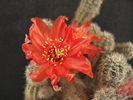 DSC08766