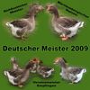 2009-campionul germaniei