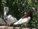 DSC00039