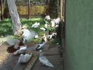 DSC00057
