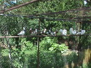 DSC00058
