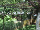 DSC00059