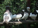 DSC00060