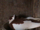 DSC00065